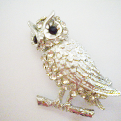 Owl Broach Pin